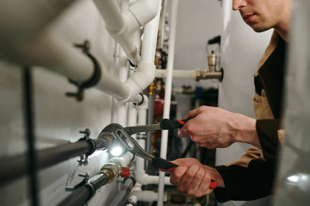 Best Septic Systems  in Greenvle, IL